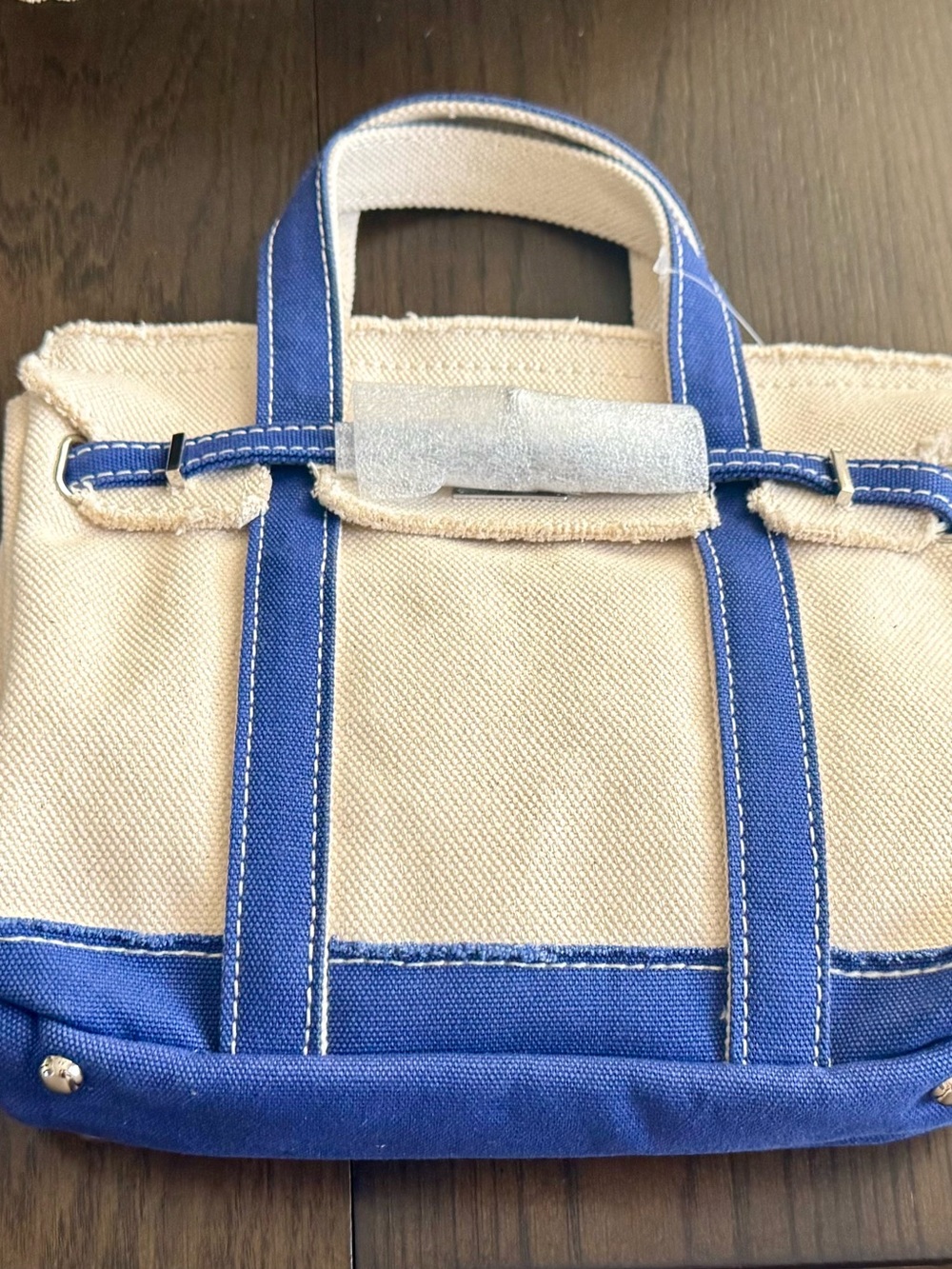 Viral Mini  “Boatkin” Bag- NWT